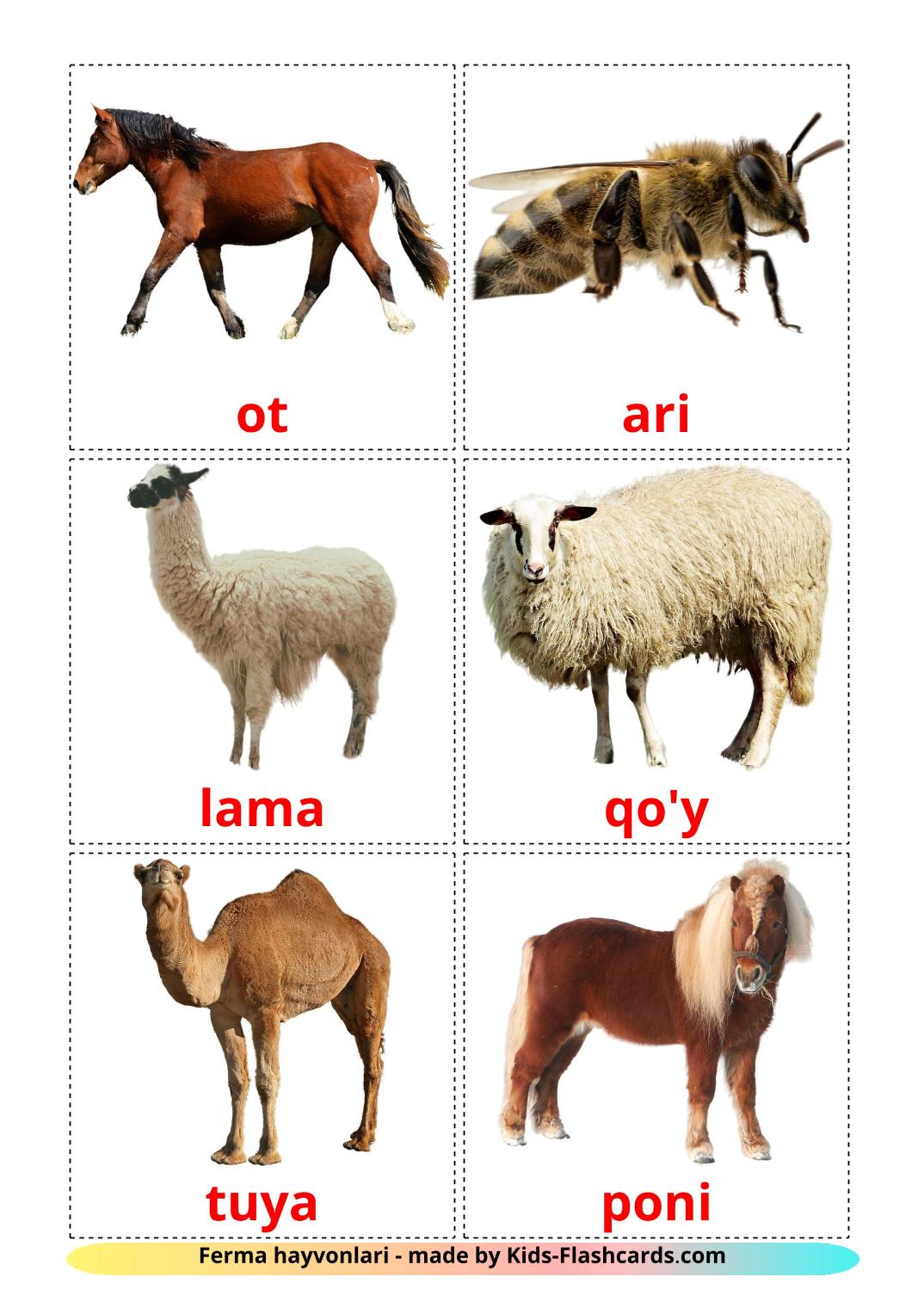 Farm animals - 15 Free Printable uzbek Flashcards 