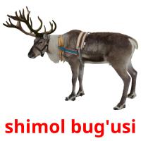 shimol bug'usi picture flashcards