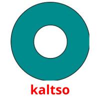 kaltso picture flashcards