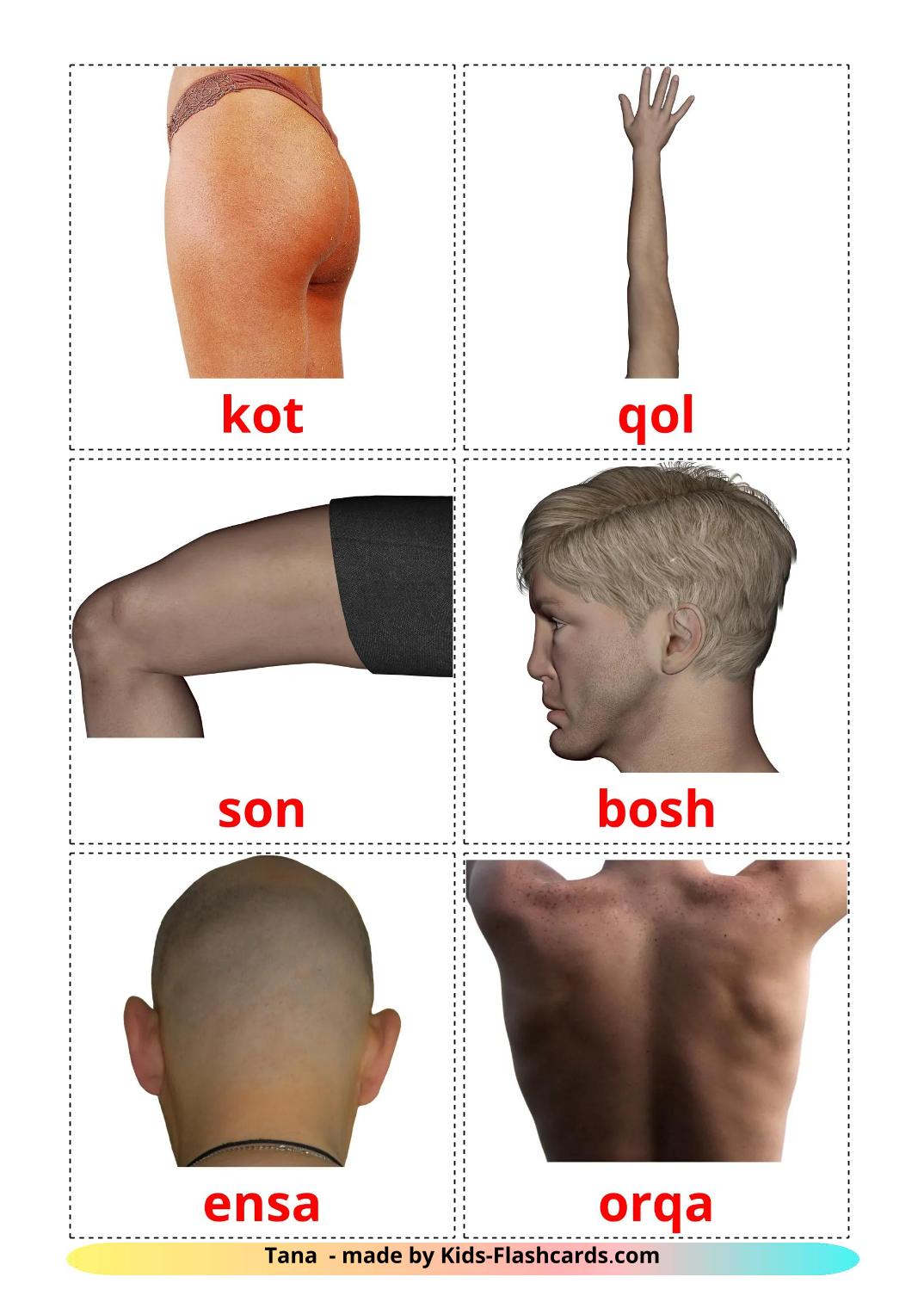 Body Parts - 26 Free Printable uzbek Flashcards 