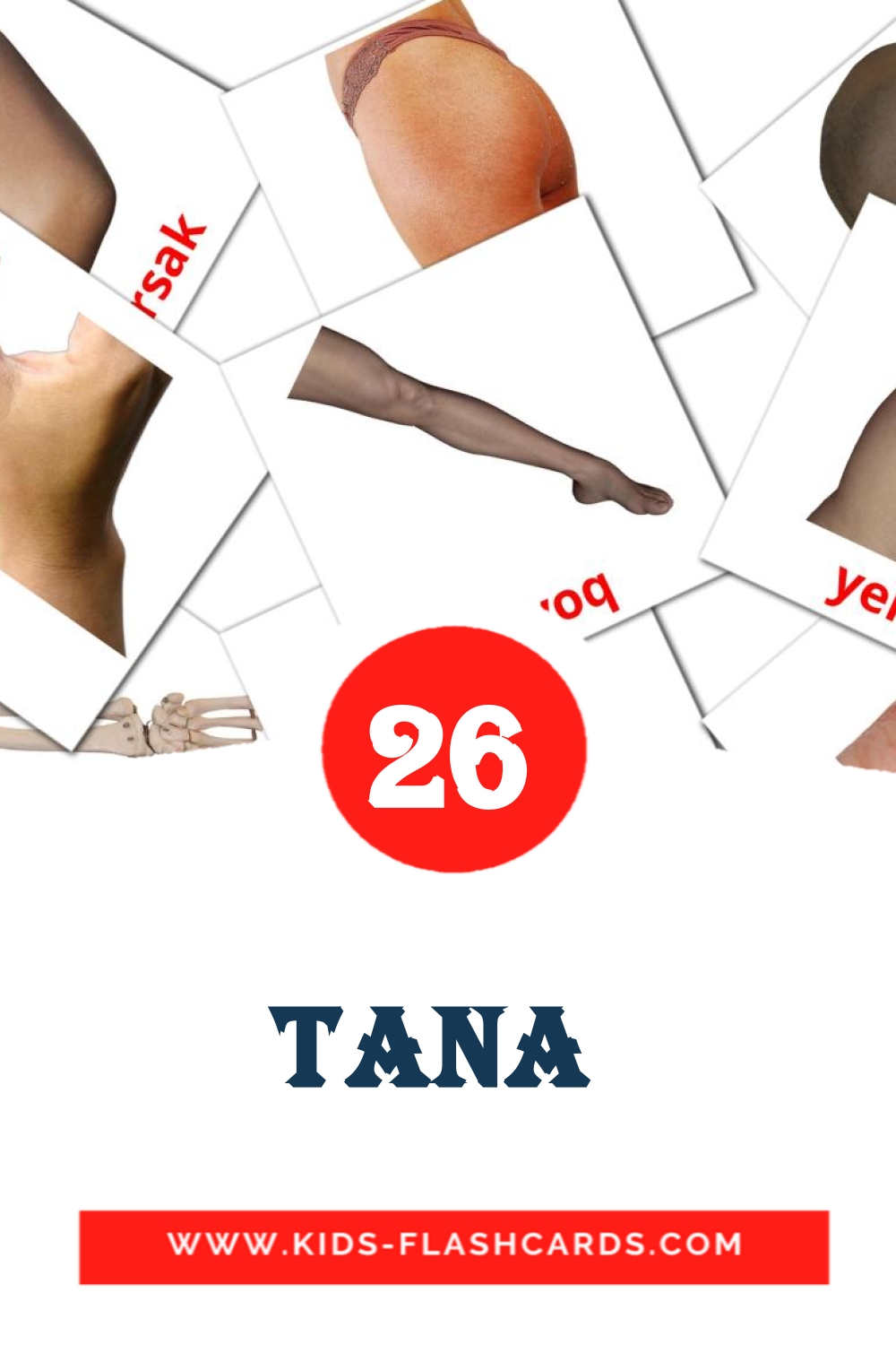 26 cartes illustrées de Tana  pour la maternelle en ouzbek