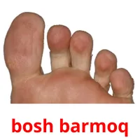 bosh barmoq picture flashcards