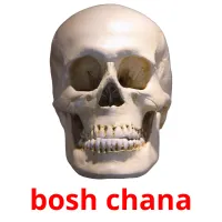 bosh chana picture flashcards