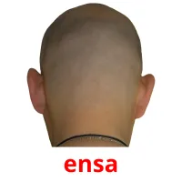 ensa picture flashcards