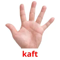 kaft picture flashcards