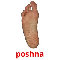 poshna picture flashcards