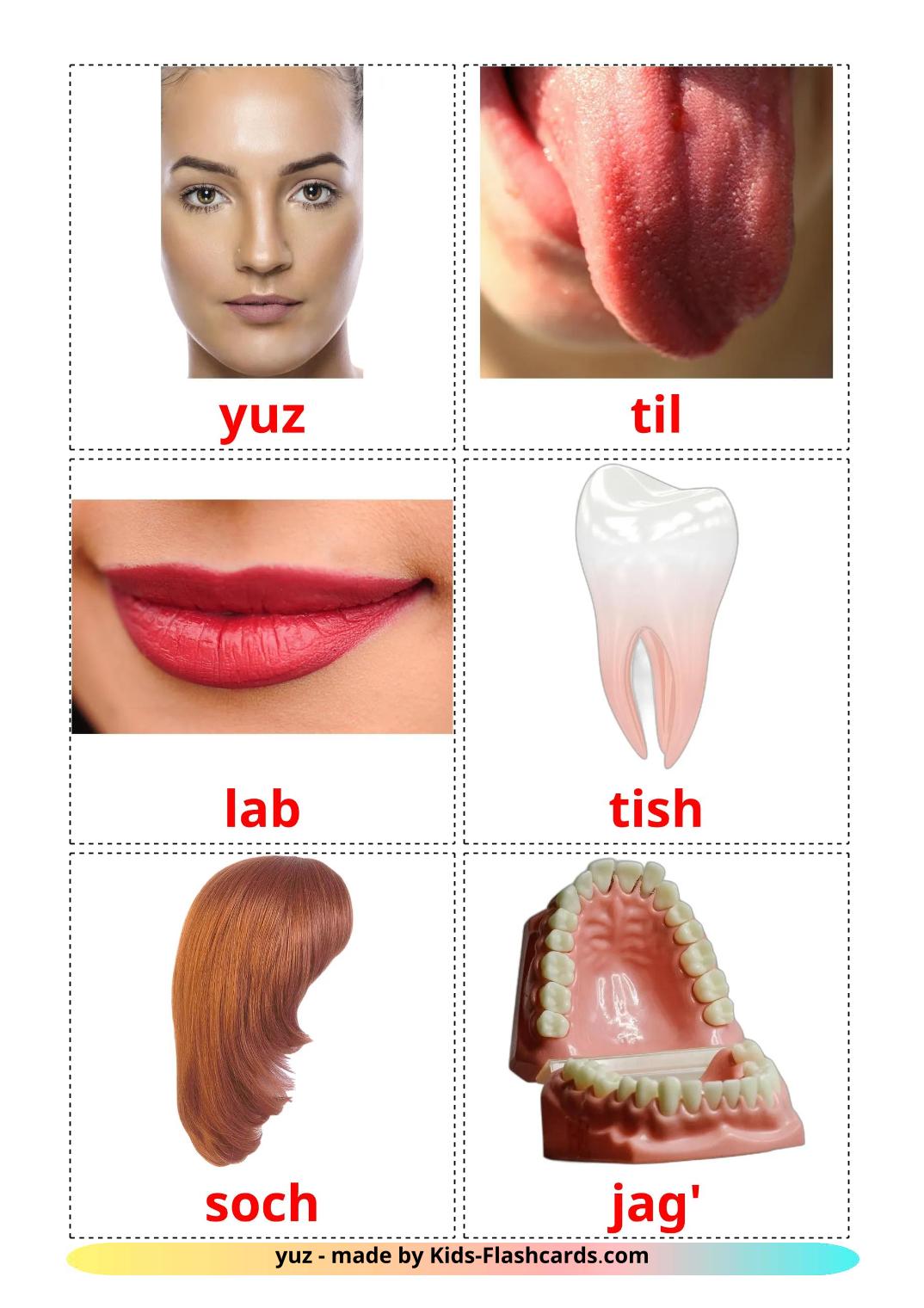 Gesicht - 20 kostenlose, druckbare Usbekisch Flashcards 