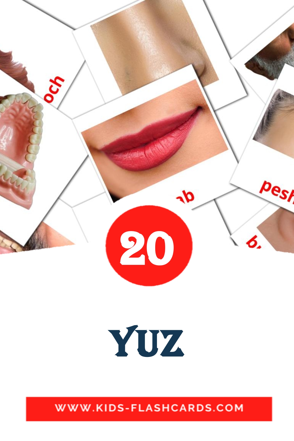 20 cartes illustrées de yuz pour la maternelle en ouzbek