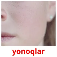 yonoqlar Bildkarteikarten