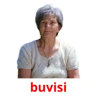 buvisi picture flashcards