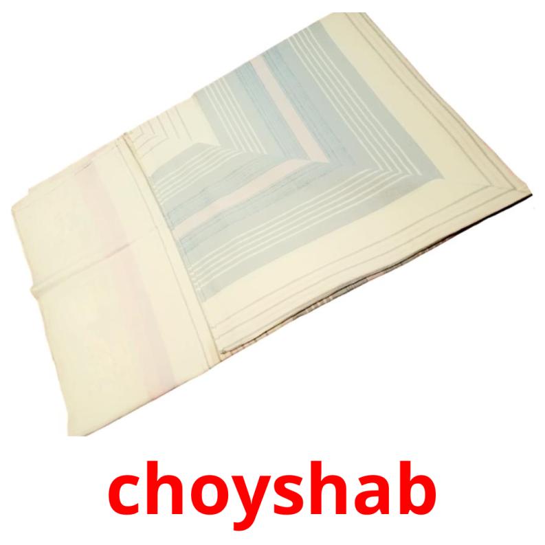 choyshab picture flashcards