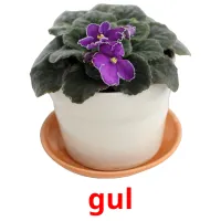 gul карточки энциклопедических знаний