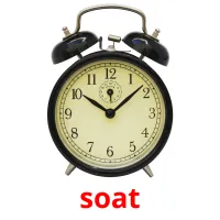soat карточки энциклопедических знаний