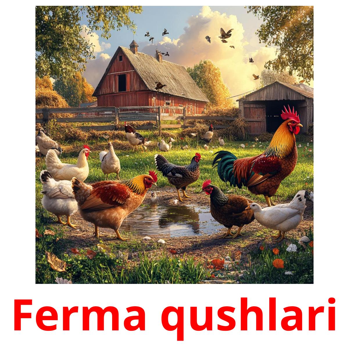 Ferma qushlari flashcards illustrate