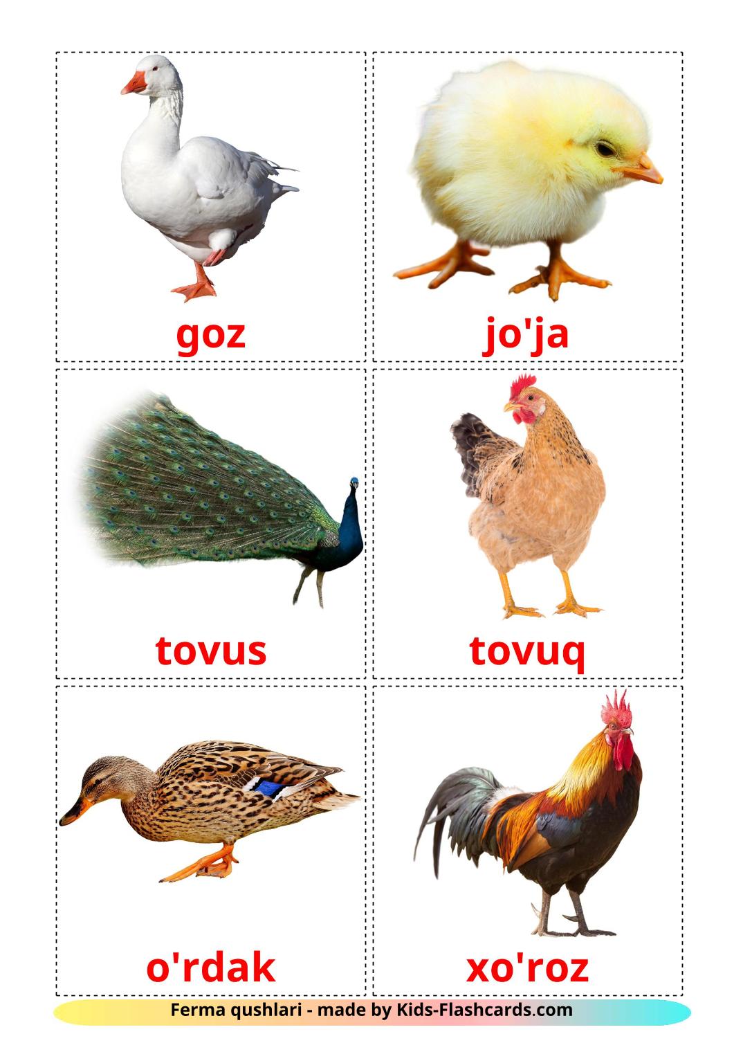 Les Oiseaux de Ferme - 11 Flashcards ouzbek imprimables gratuitement