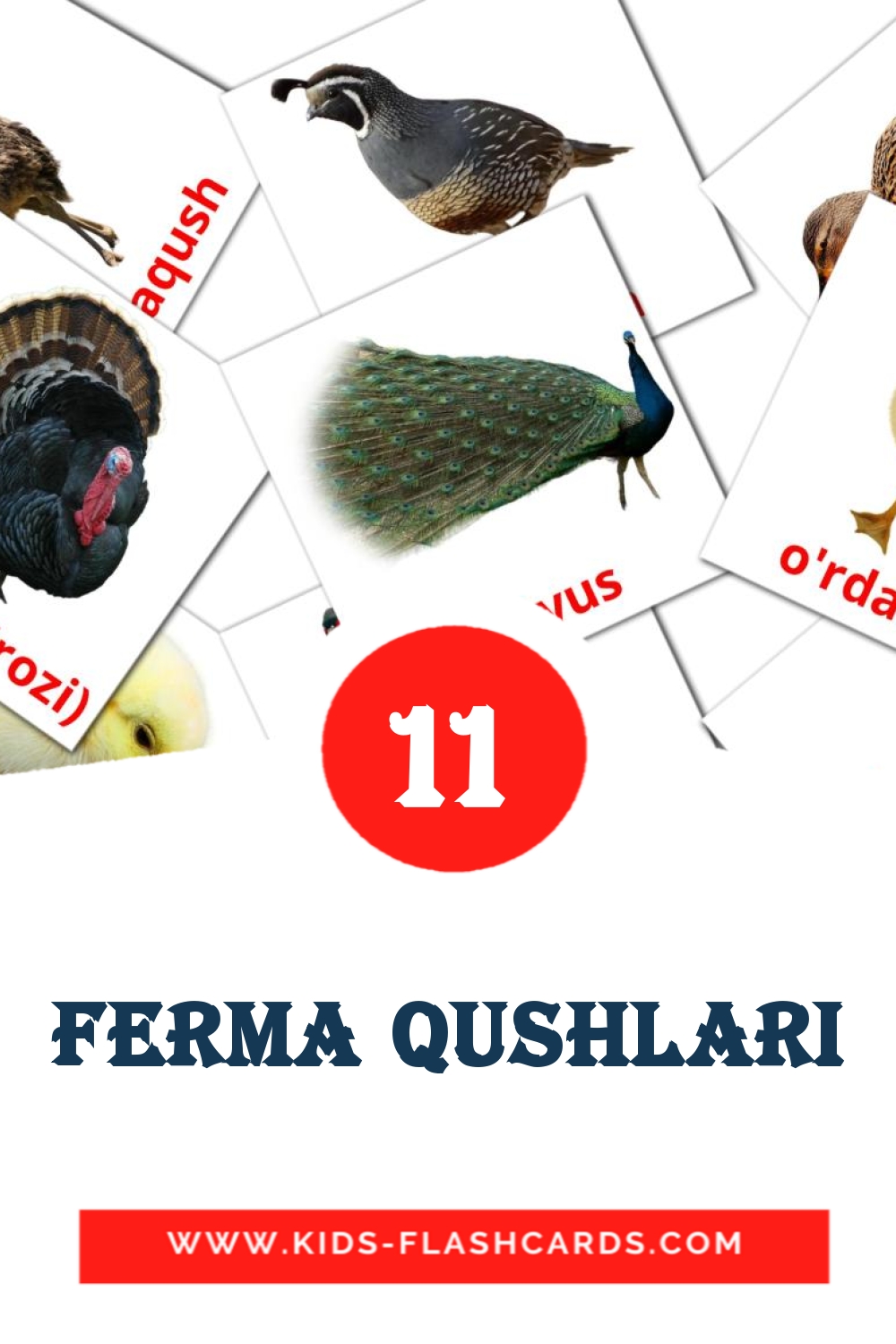 11 cartes illustrées de Ferma qushlari pour la maternelle en ouzbek