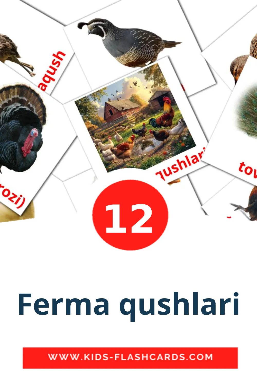 12 Ferma qushlari Picture Cards for Kindergarden in uzbek