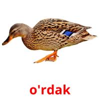 o'rdak card for translate