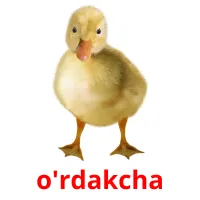 o'rdakcha picture flashcards