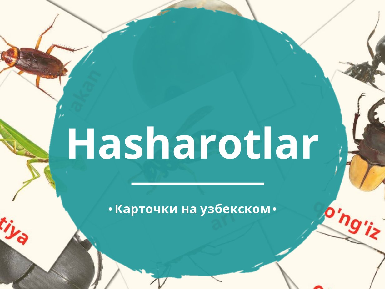 23 Бесплатные Карточки Насекомые на Узбекском | PDF