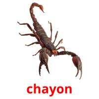 chayon card for translate