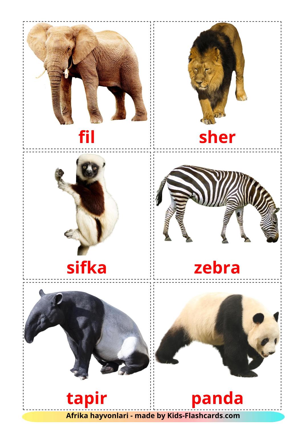 Животные африки - 21 Карточка Домана на узбекском