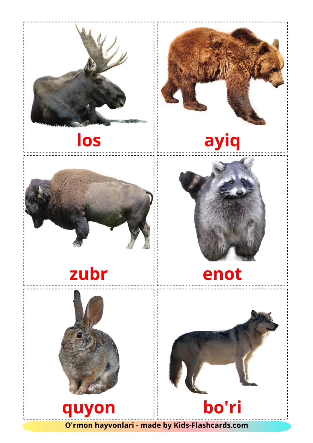 Forest animals - 22 Free Printable uzbek Flashcards 