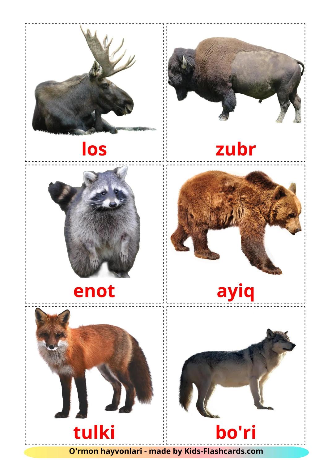 Animais da Floresta - 23 Flashcards uzbekes gratuitos para impressão