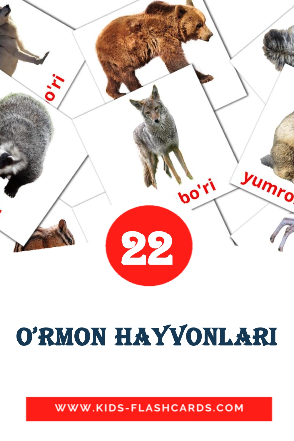 22 O'rmon hayvonlari Picture Cards for Kindergarden in uzbek
