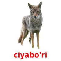 ciyabo'ri picture flashcards