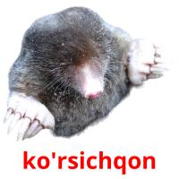 ko'rsichqon card for translate