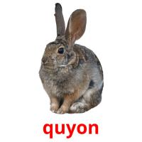 quyon picture flashcards