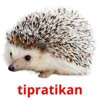 tipratikan card for translate