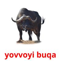 yovvoyi buqa card for translate