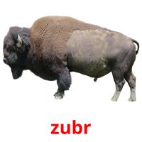 zubr card for translate