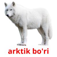 arktik bo'ri card for translate