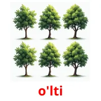 o'lti picture flashcards