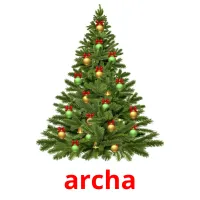 archa flashcards illustrate