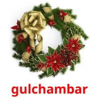 gulchambar flashcards illustrate