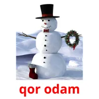 qor odam flashcards illustrate