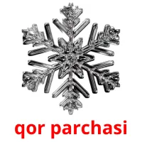 qor parchasi flashcards illustrate