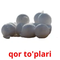 qor to'plari flashcards illustrate