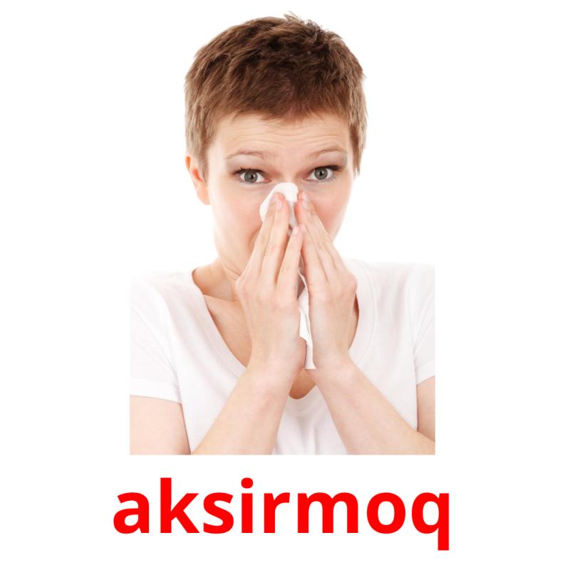 aksirmoq picture flashcards
