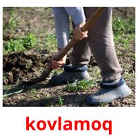 kovlamoq picture flashcards