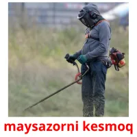 maysazorni kesmoq Tarjetas didacticas