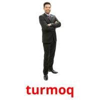 turmoq picture flashcards