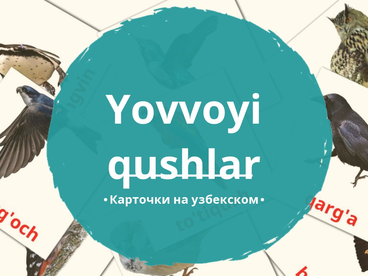 18 Бесплатных Карточек Дикие птицы на Узбекском | PDF