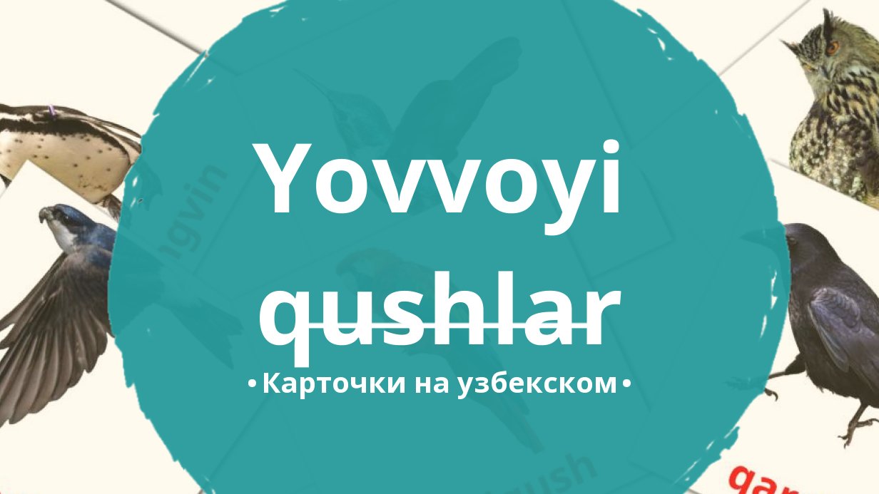 18 Бесплатных Карточек Дикие птицы на Узбекском | PDF