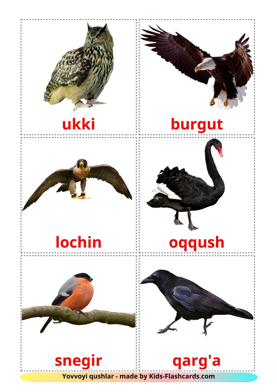 Les Oiseaux Sauvages - 18 Flashcards ouzbek imprimables gratuitement