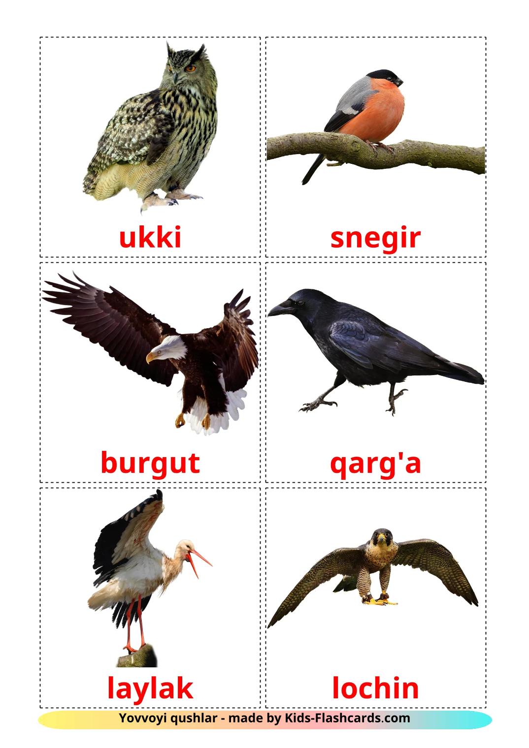 Uccelli selvaggi - 19 flashcards uzbek stampabili gratuitamente